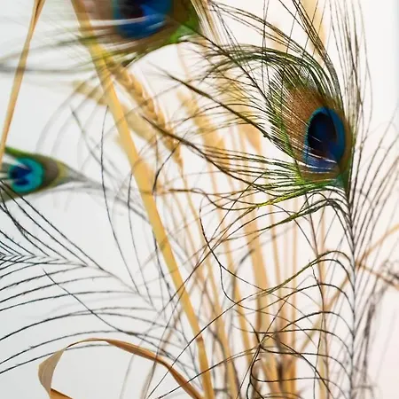Nature Apartment 公寓